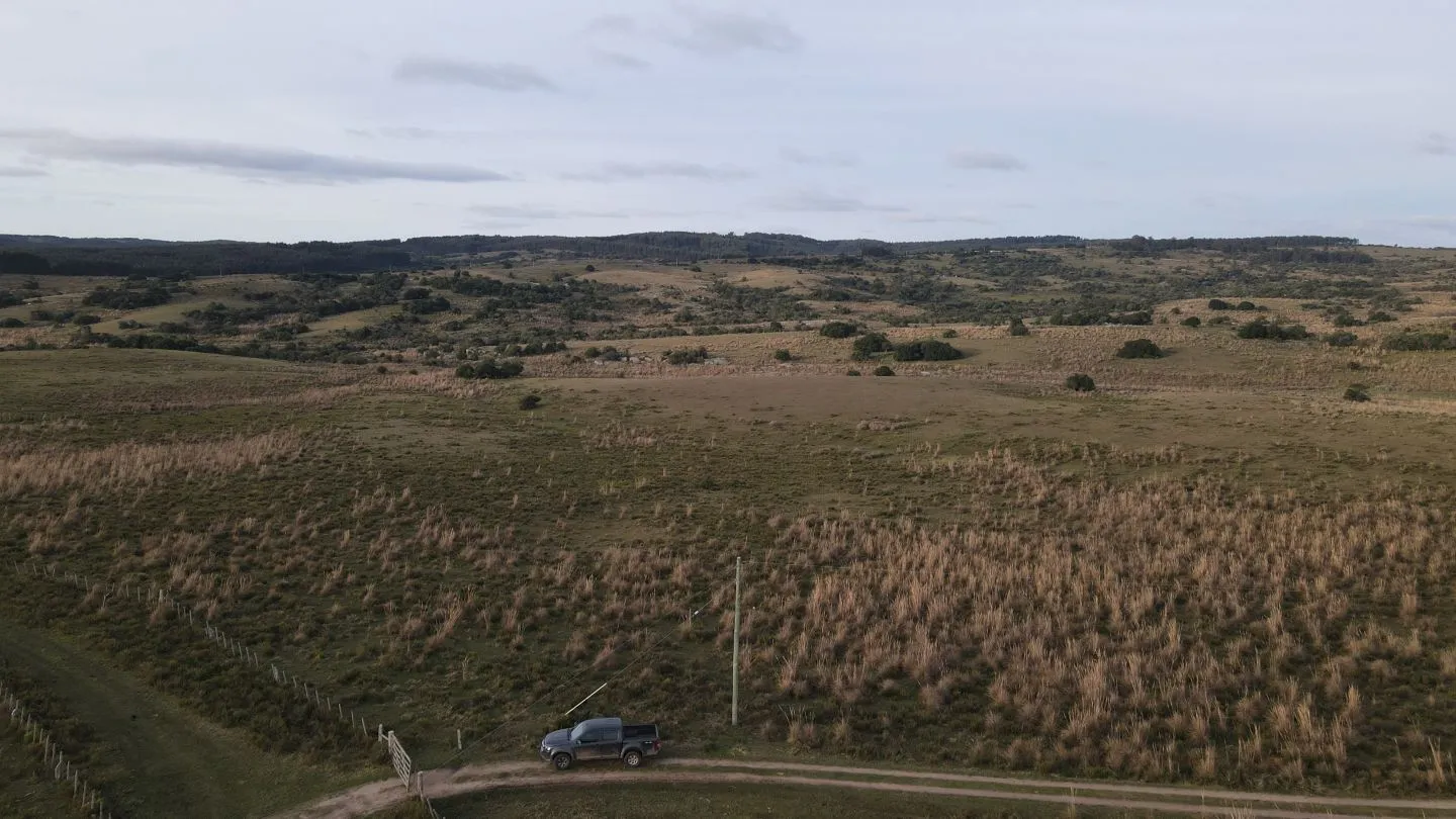 Campo de 22 ha en Garzón, Maldonado — foto 3