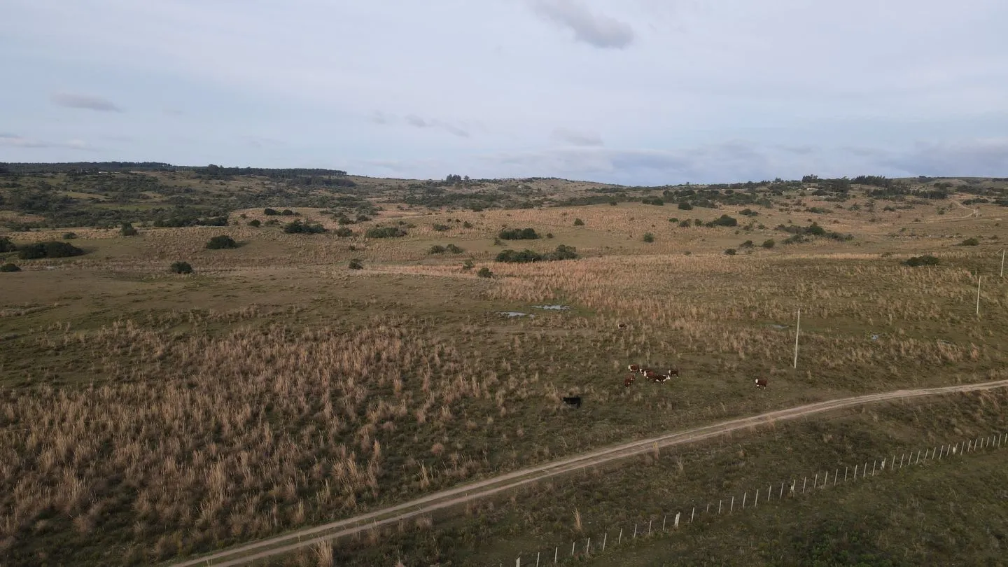 Campo de 22 ha en Garzón, Maldonado — foto 4