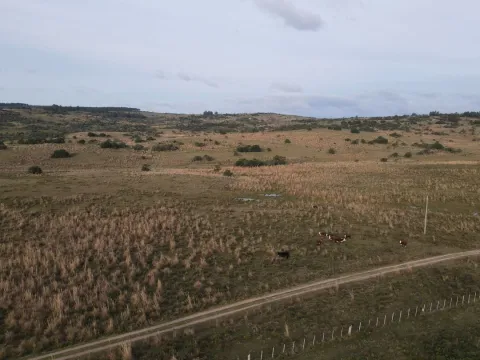 Campo de 22 ha en Garzón, Maldonado — foto 4