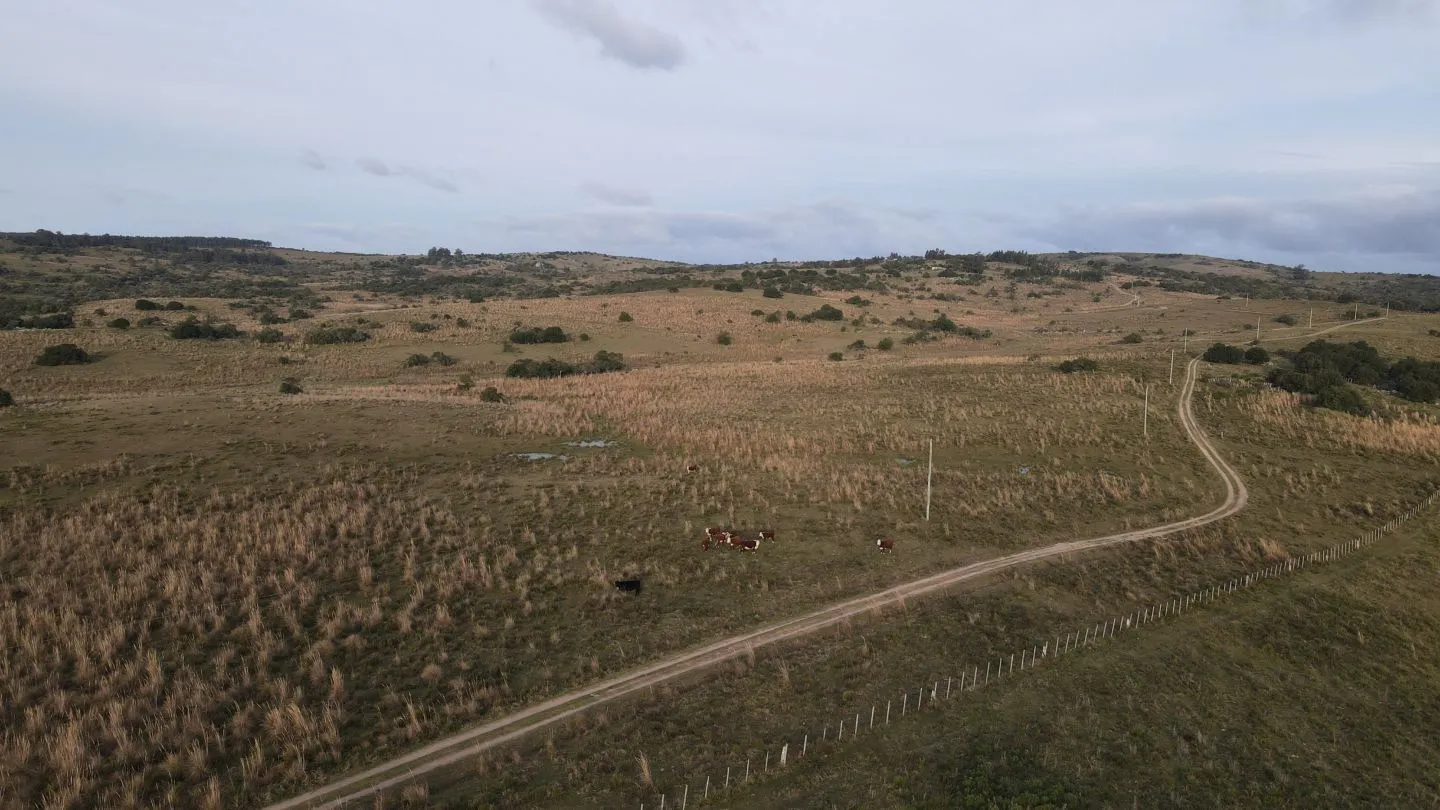 Campo de 22 ha en Garzón, Maldonado — foto 5