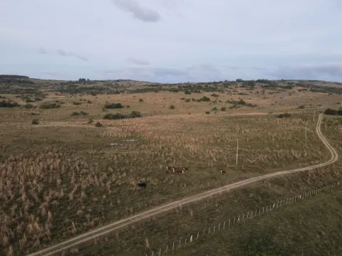 Campo de 22 ha en Garzón, Maldonado — foto 5