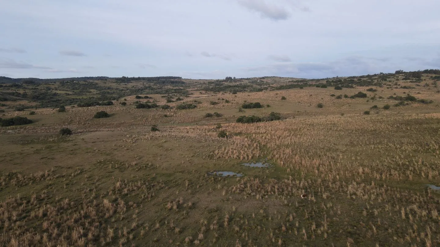 Campo de 22 ha en Garzón, Maldonado — foto 7