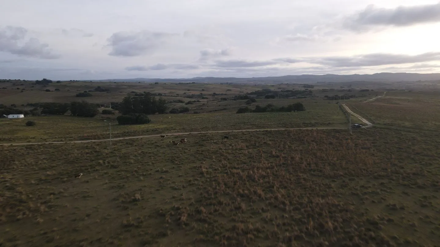 Campo de 22 ha en Garzón, Maldonado — foto 8