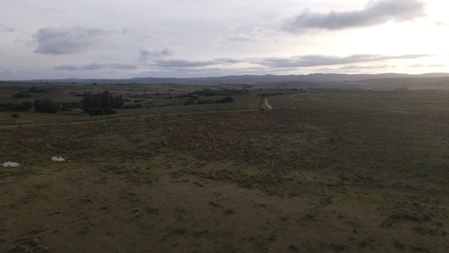 Campo de 22 ha en Garzón, Maldonado — foto 9