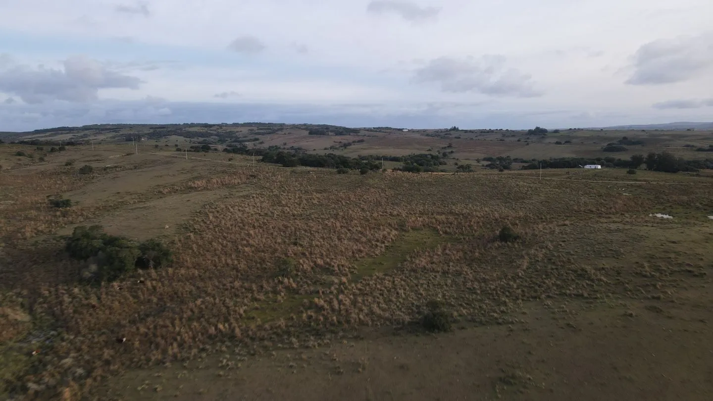 Campo de 22 ha en Garzón, Maldonado — foto 10