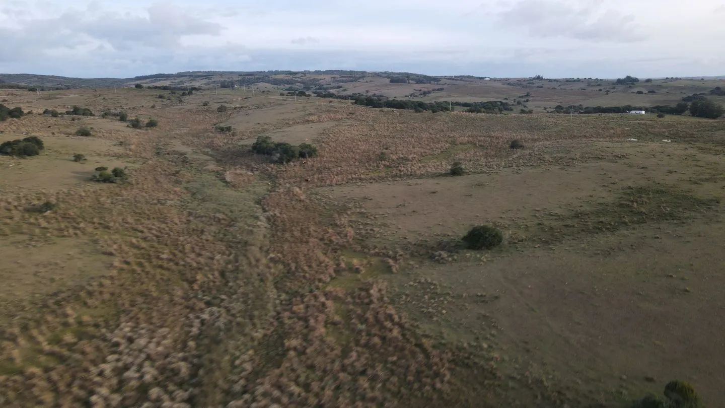 Campo de 22 ha en Garzón, Maldonado — foto 11