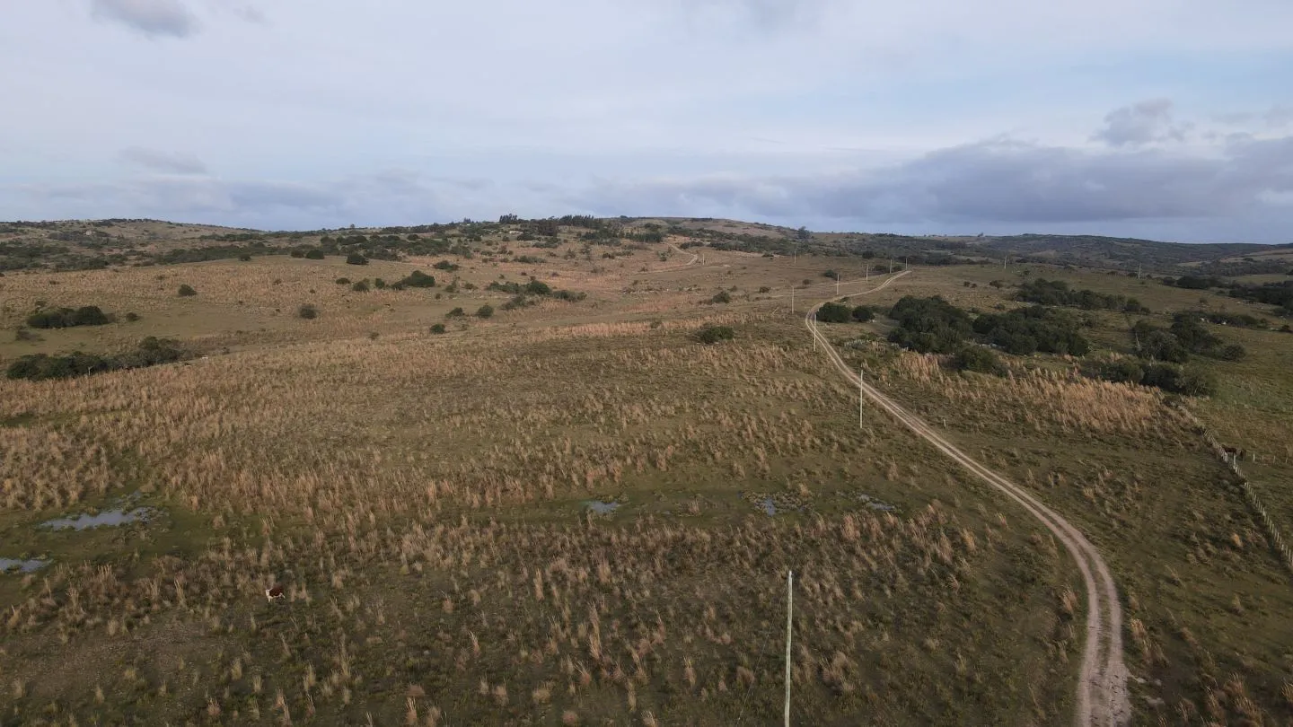 Campo de 22 ha en Garzón, Maldonado — foto 12