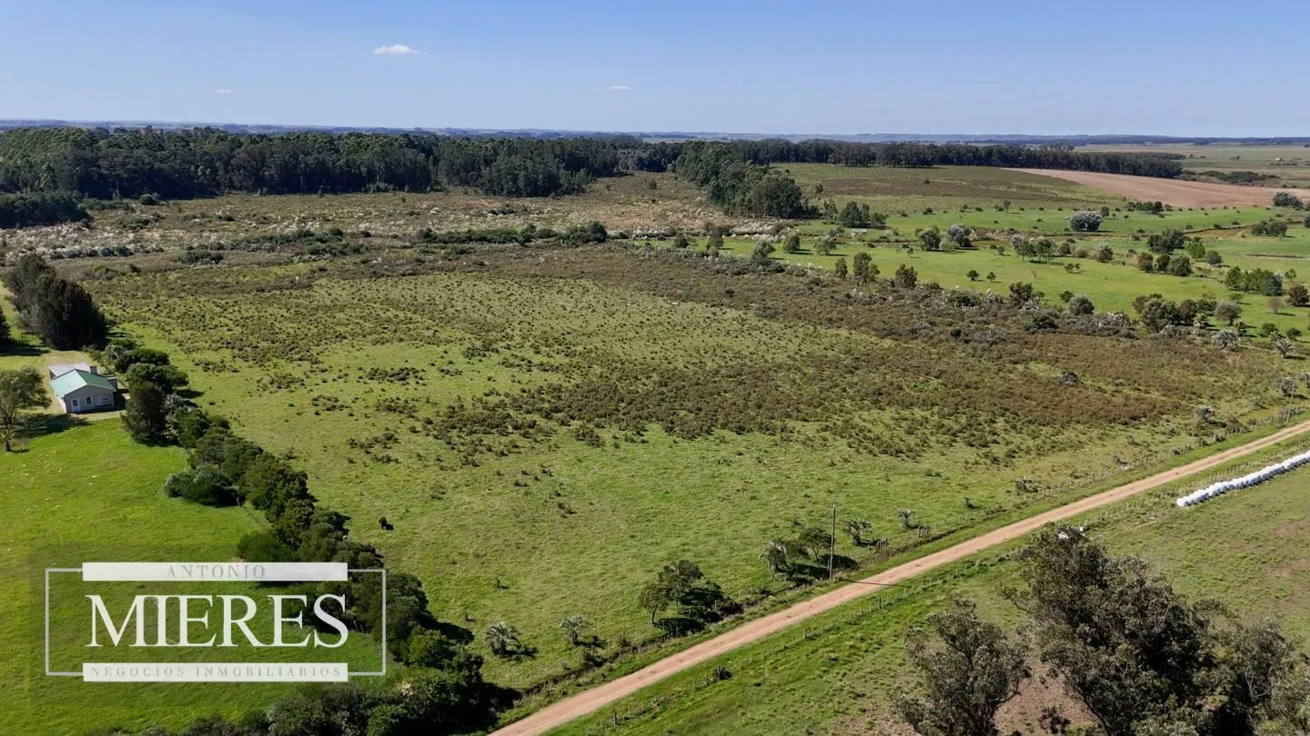 VENTA DE 2 CHACRAS DE 5 HAS EN MANANATIALES - ZONA R104 — foto 8