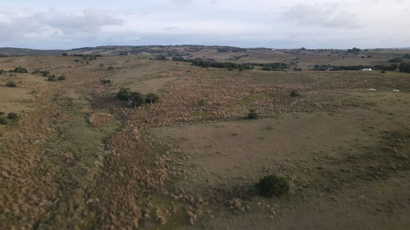 Campo de 22 ha en Garzón, Maldonado — foto 14