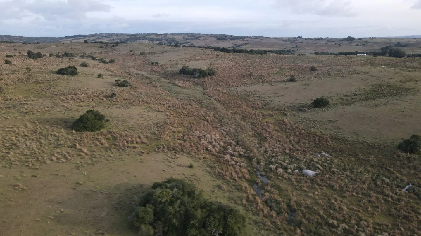 Campo de 22 ha en Garzón, Maldonado — foto 15