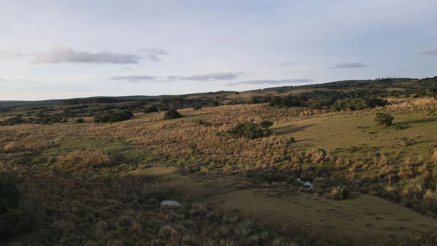 Campo de 22 ha en Garzón, Maldonado — foto 20