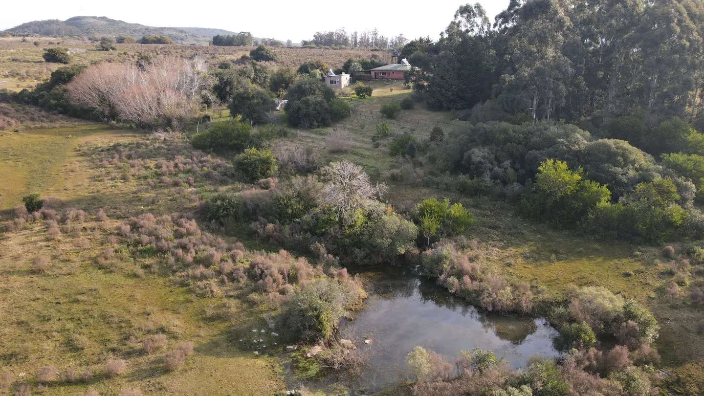 Venta Chacra 5 hectáreas Maldonado Pueblo Edén refer 7655 — foto 5