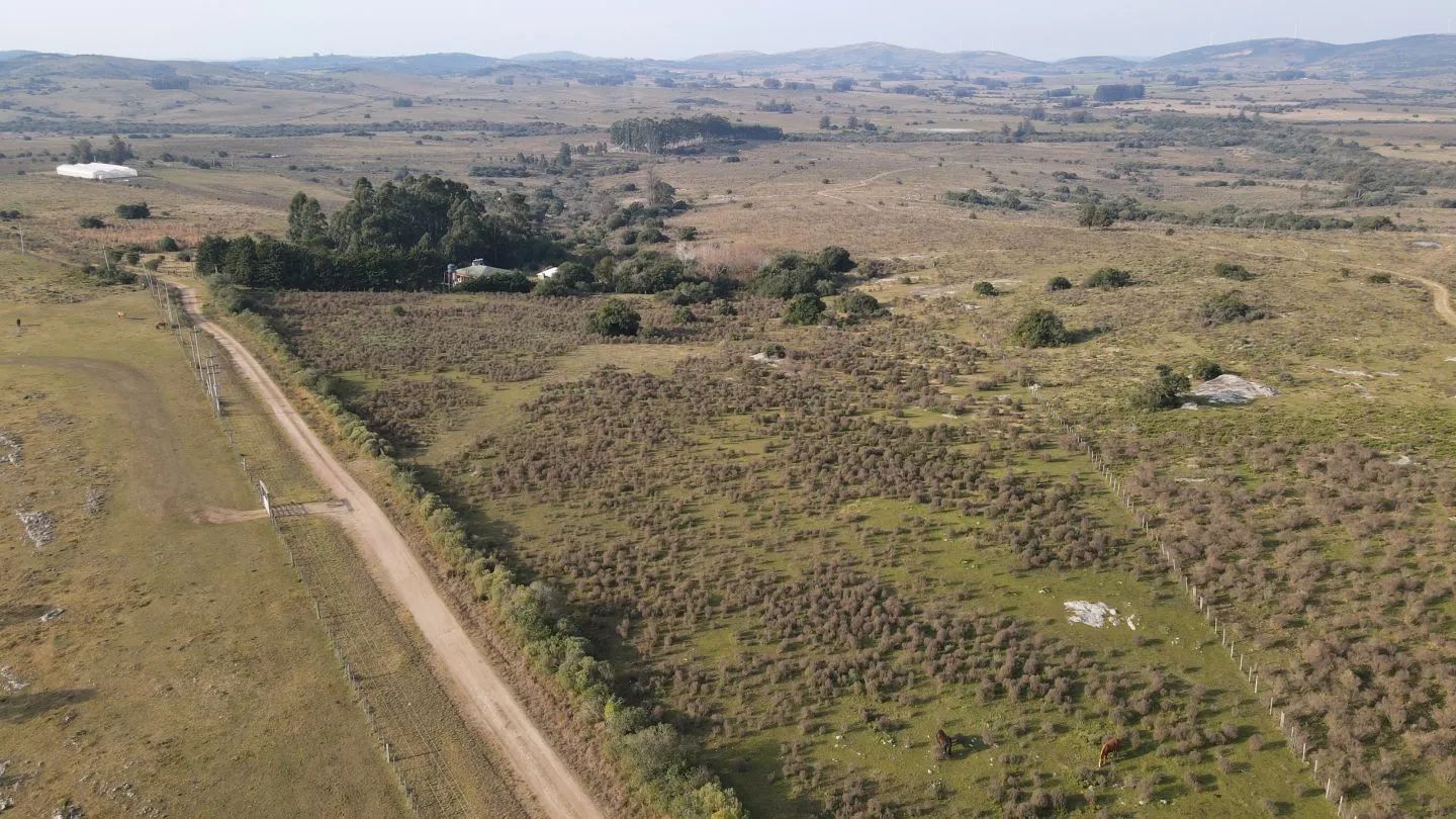 Venta Chacra 5 hectáreas Maldonado Pueblo Edén refer 7655 — foto 9