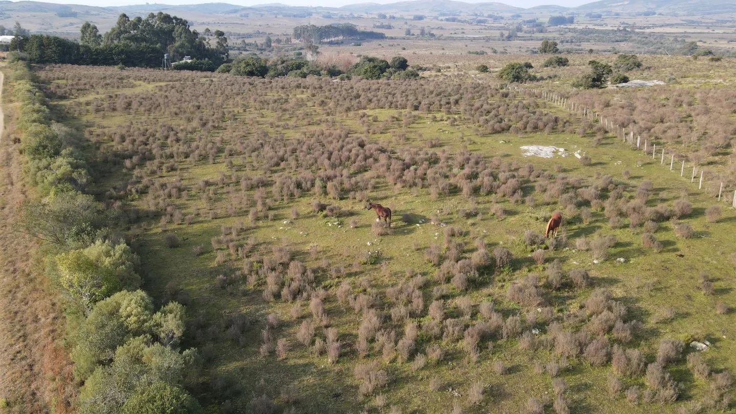 Venta Chacra 5 hectáreas Maldonado Pueblo Edén refer 7655 — foto 10