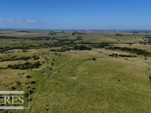 Campo de 112ha en Rocha Ganadero Forestal. — foto 3