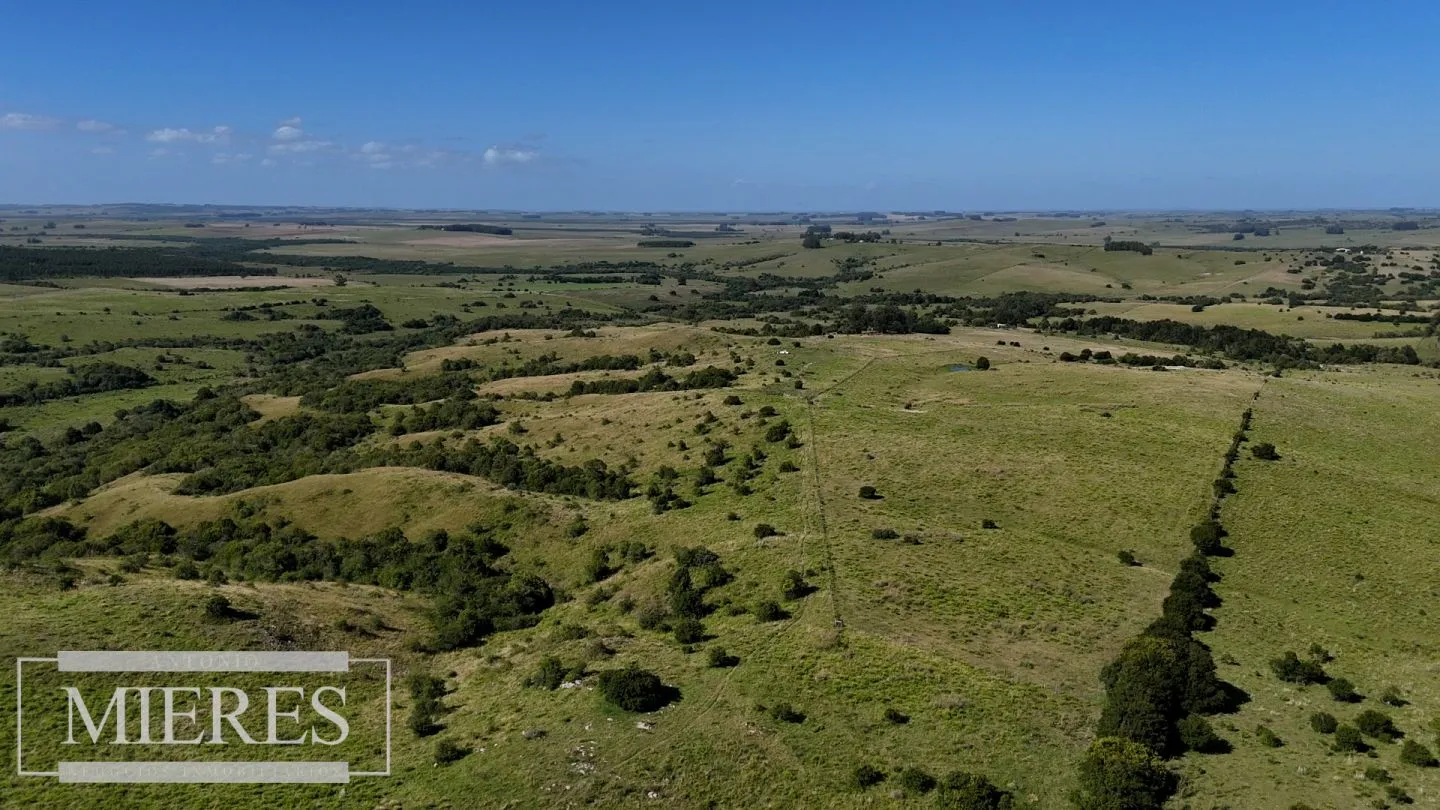 Campo de 112ha en Rocha Ganadero Forestal. — foto 4