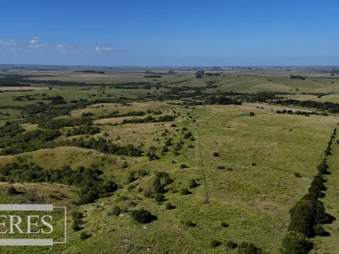 Campo de 112ha en Rocha Ganadero Forestal. — foto 4