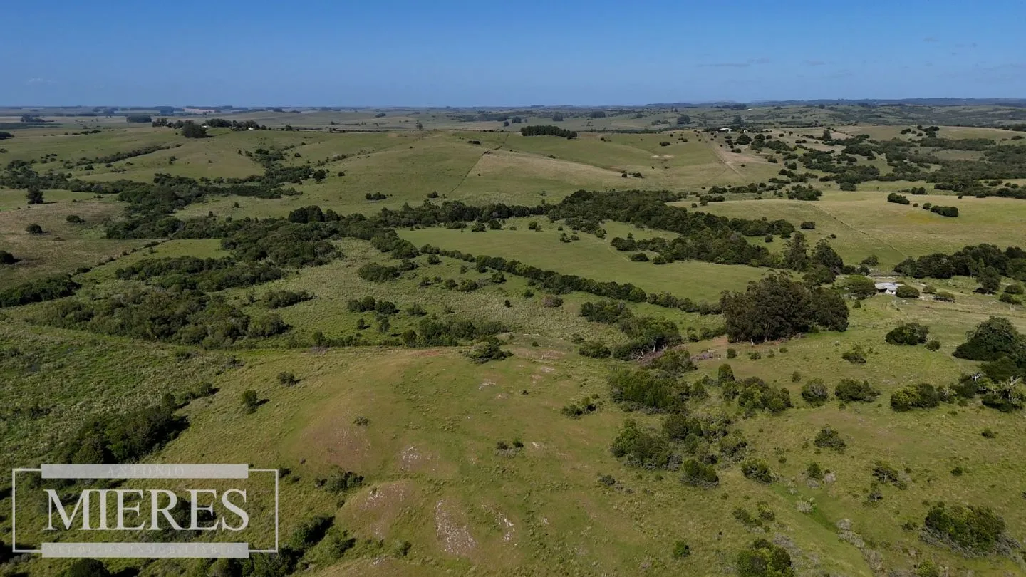 Campo de 112ha en Rocha Ganadero Forestal. — foto 6