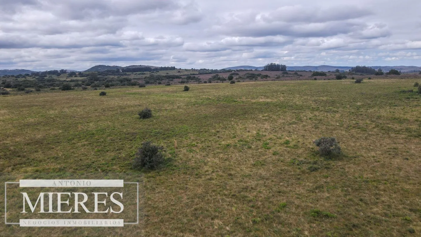 Chacras de 5 y 7 ha en Pueblo eden — foto 4