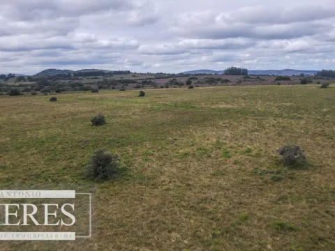 Chacras de 5 y 7 ha en Pueblo eden — foto 4