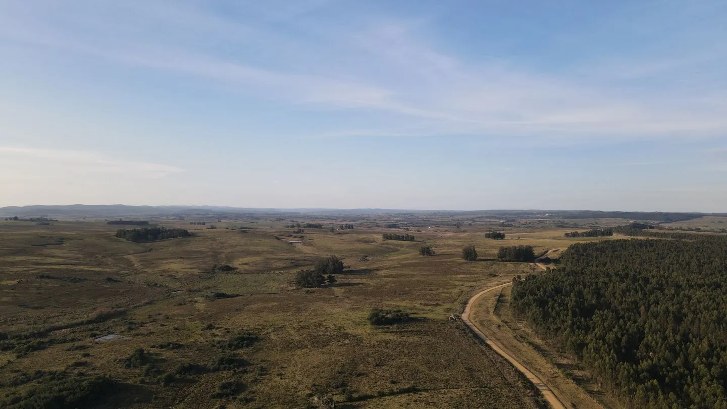 Campo de 21 ha en Punta de José Ignacio, Maldonado — foto 1