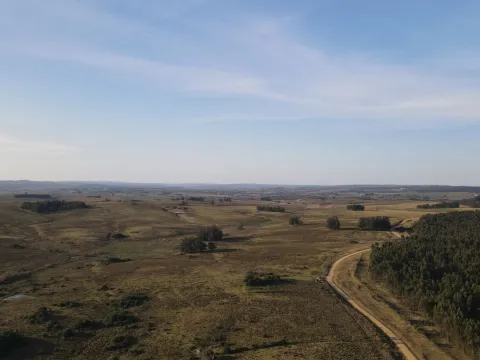 Campo de 21 ha en Punta de José Ignacio, Maldonado