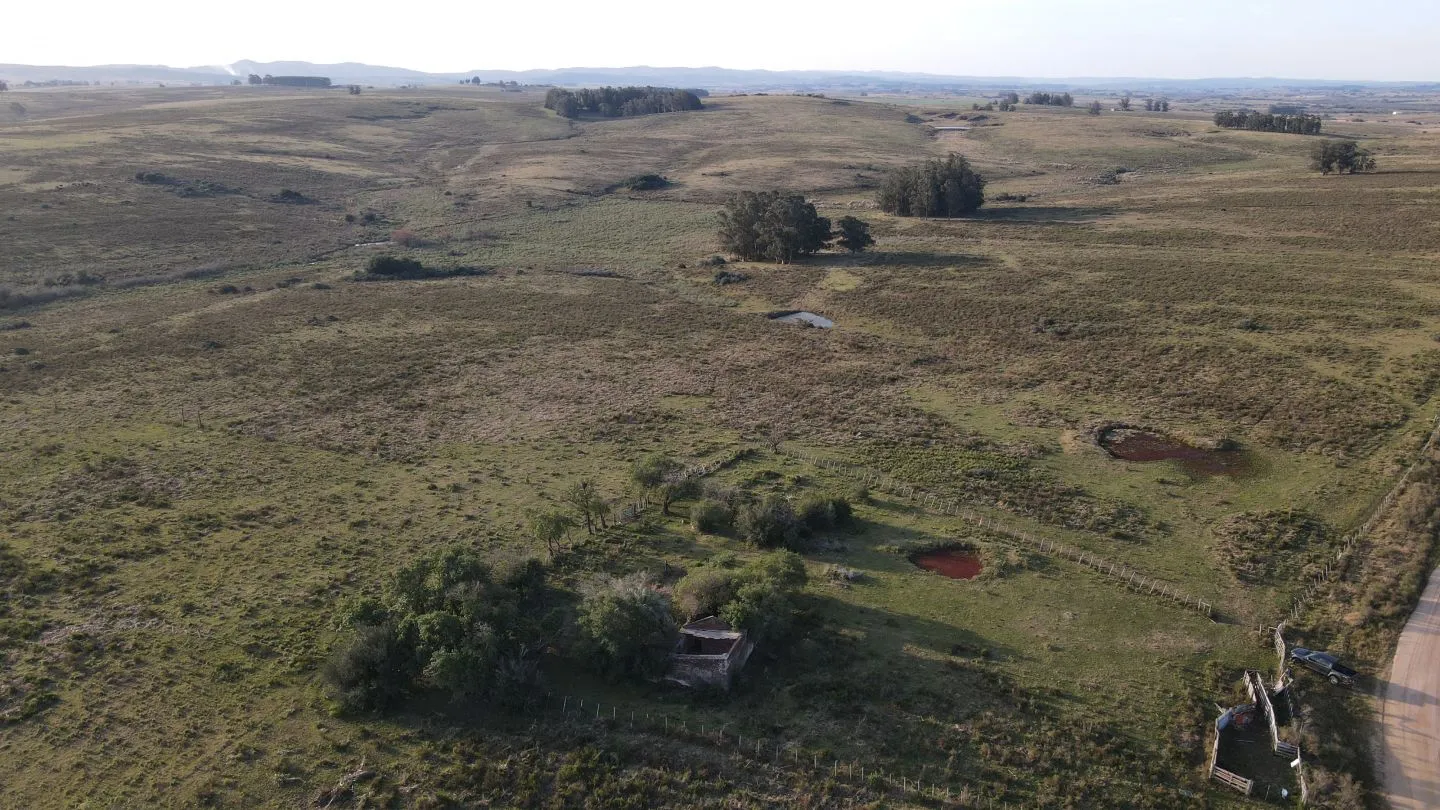Campo de 21 ha en Punta de José Ignacio, Maldonado — foto 2