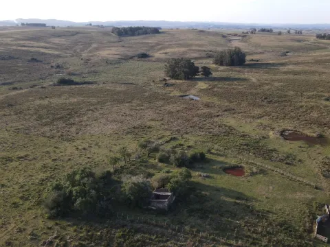 Campo de 21 ha en Punta de José Ignacio, Maldonado — foto 2
