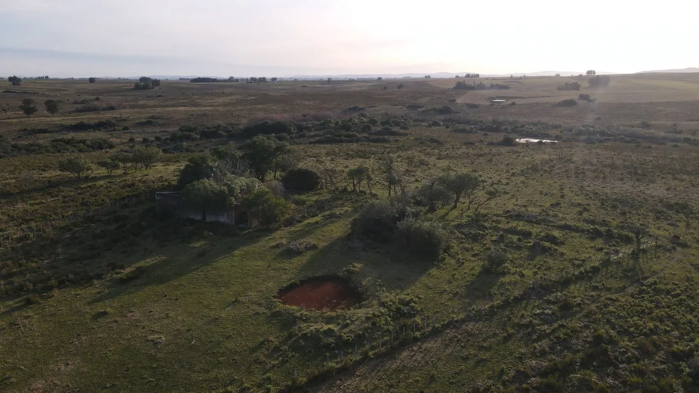 Campo de 21 ha en Punta de José Ignacio, Maldonado — foto 3