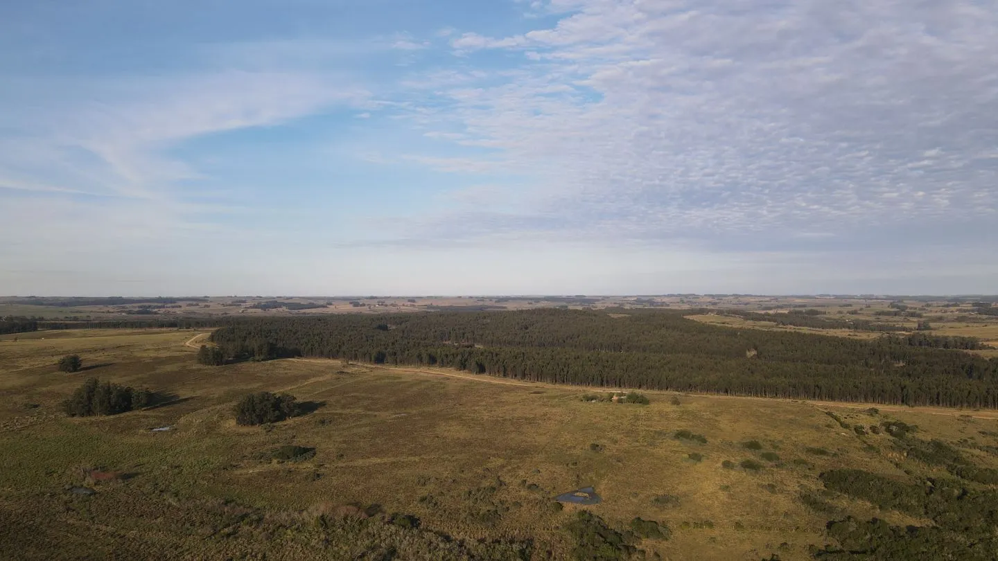Campo de 21 ha en Punta de José Ignacio, Maldonado — foto 4