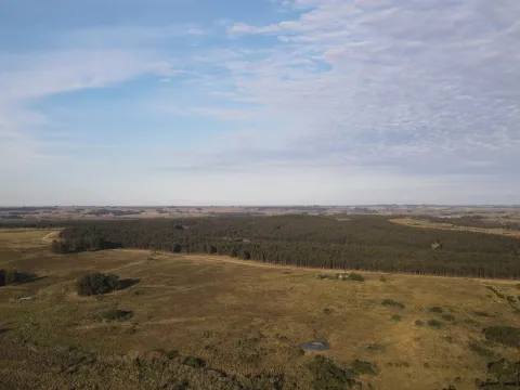 Campo de 21 ha en Punta de José Ignacio, Maldonado — foto 4