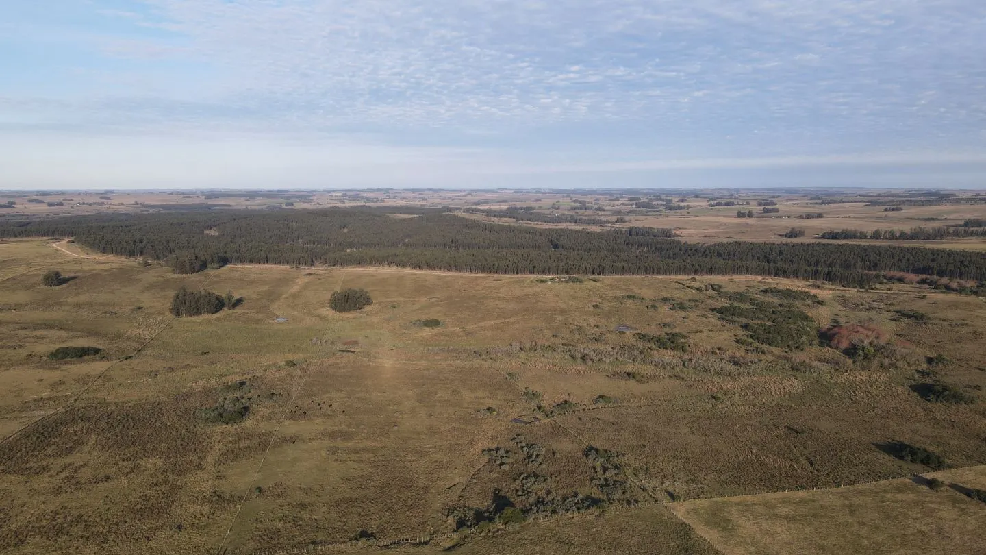 Campo de 21 ha en Punta de José Ignacio, Maldonado — foto 5