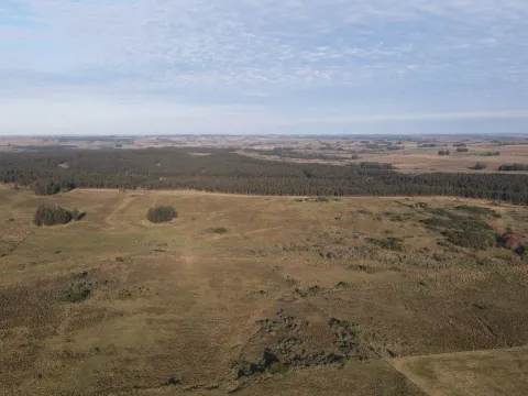 Campo de 21 ha en Punta de José Ignacio, Maldonado — foto 5