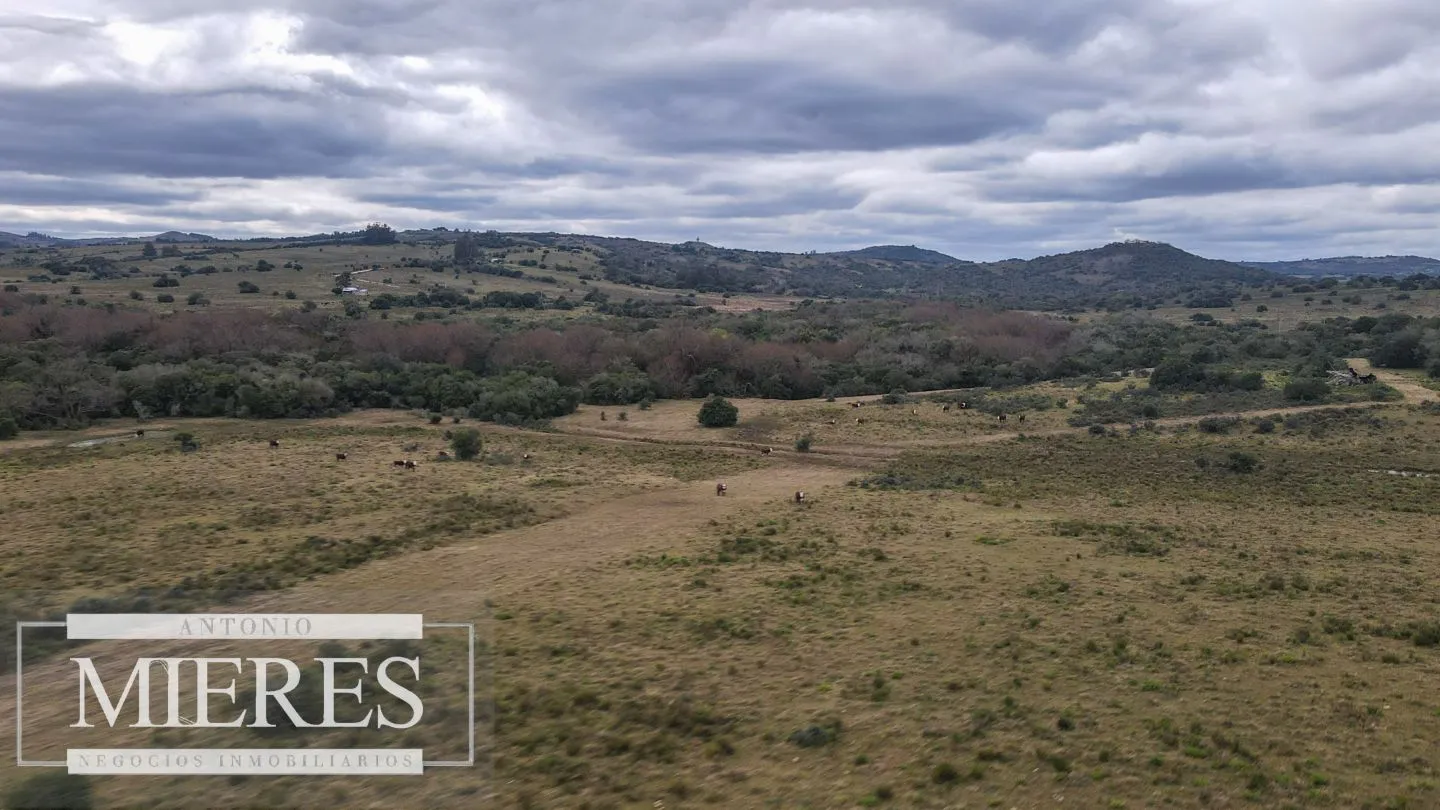 Chacras de 5 y 7 ha en Pueblo eden — foto 16