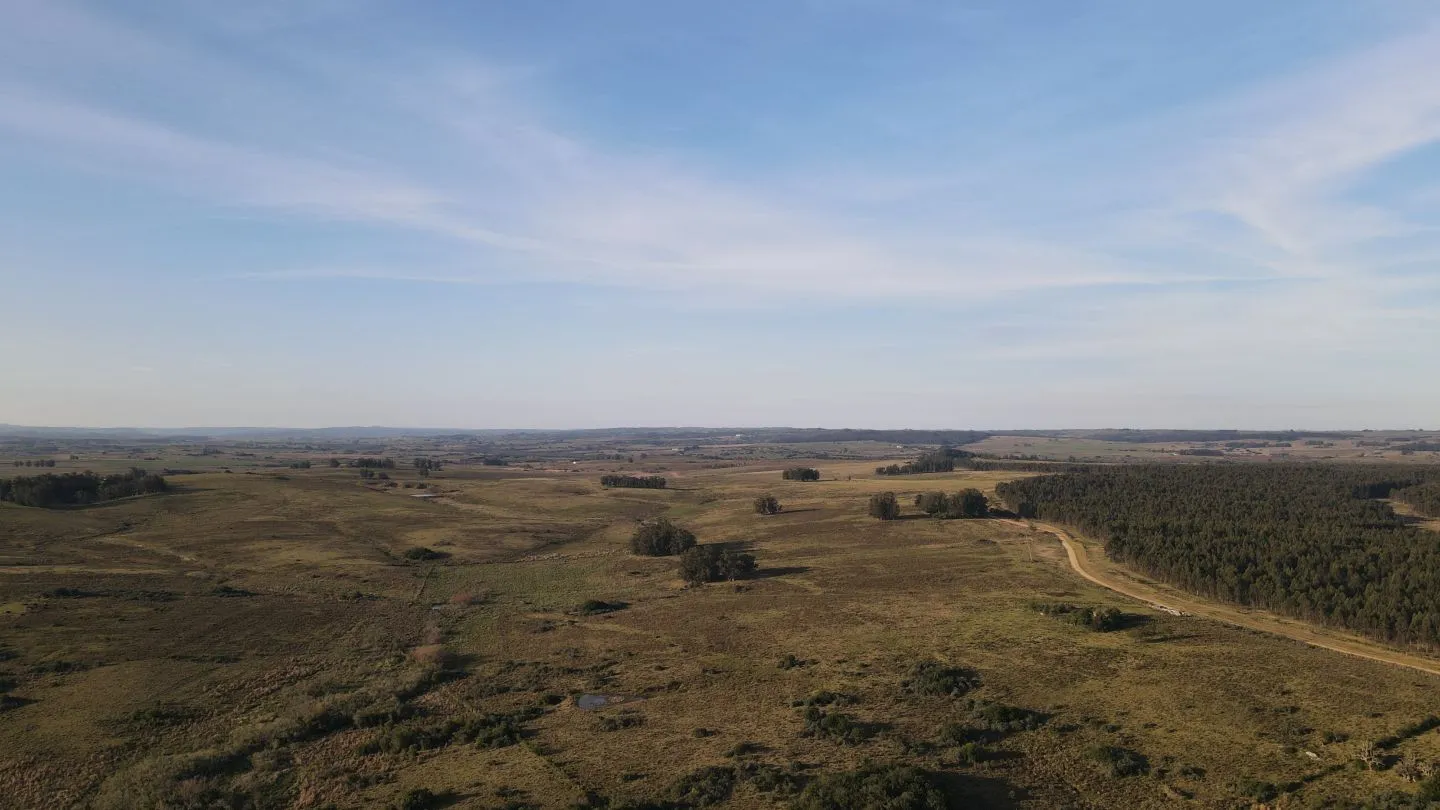 Campo de 21 ha en Punta de José Ignacio, Maldonado — foto 6
