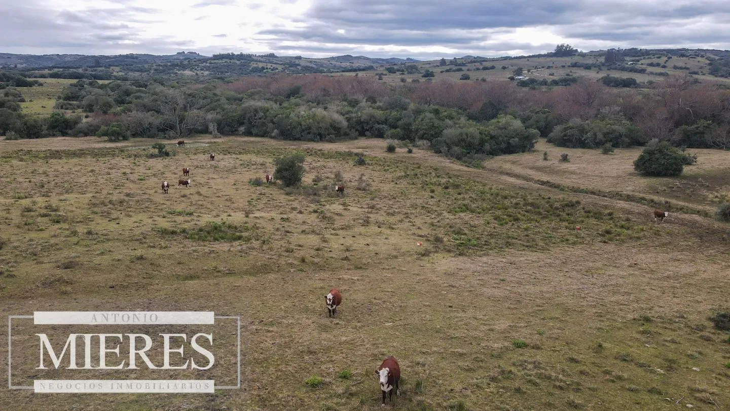 Chacras de 5 y 7 ha en Pueblo eden — foto 17