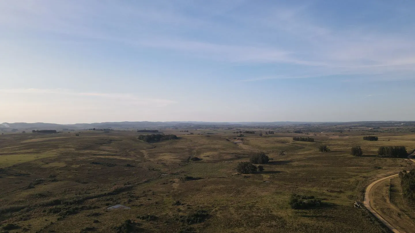 Campo de 21 ha en Punta de José Ignacio, Maldonado — foto 7