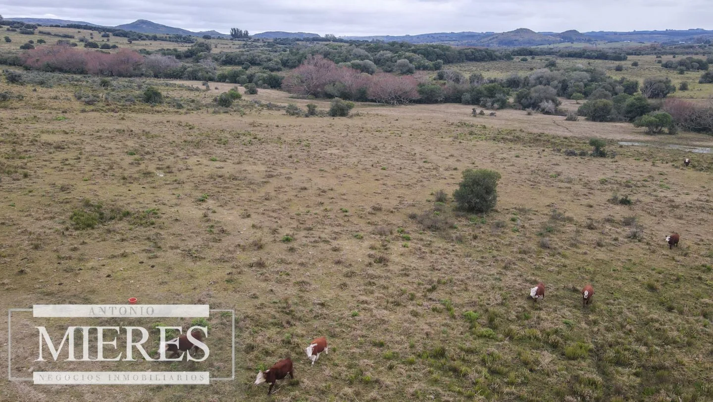 Chacras de 5 y 7 ha en Pueblo eden — foto 18