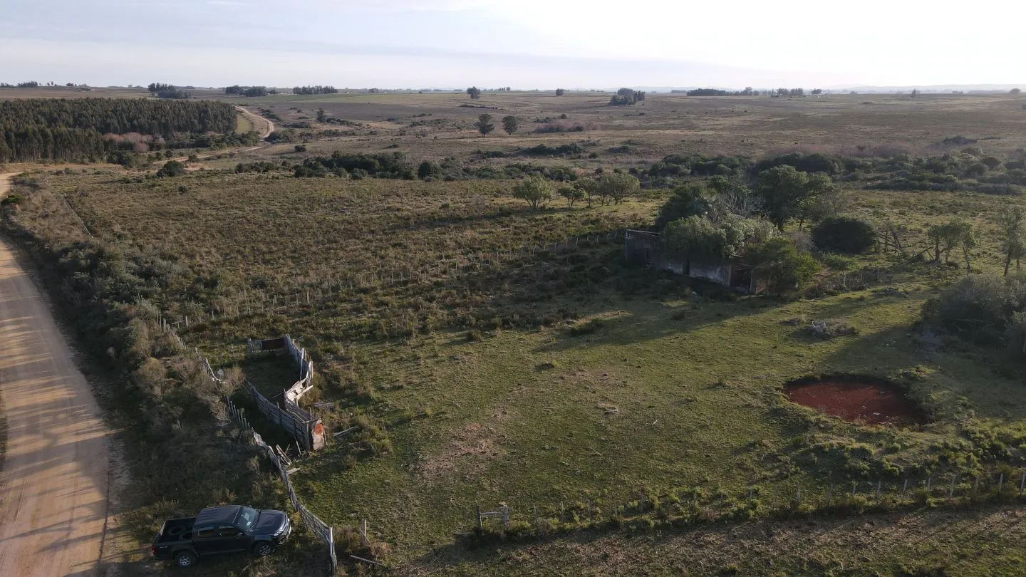 Campo de 21 ha en Punta de José Ignacio, Maldonado — foto 8