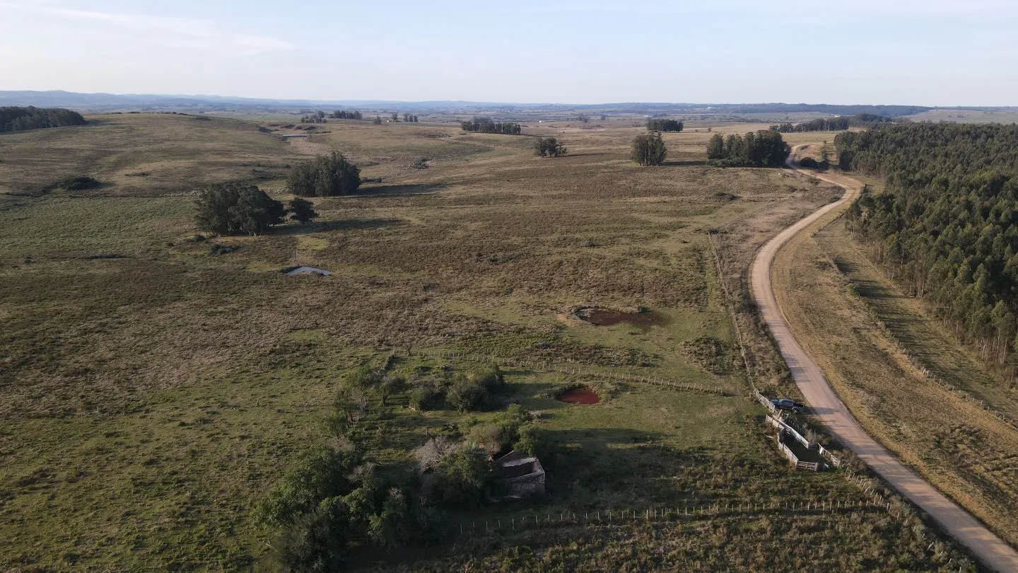 Campo de 21 ha en Punta de José Ignacio, Maldonado — foto 9
