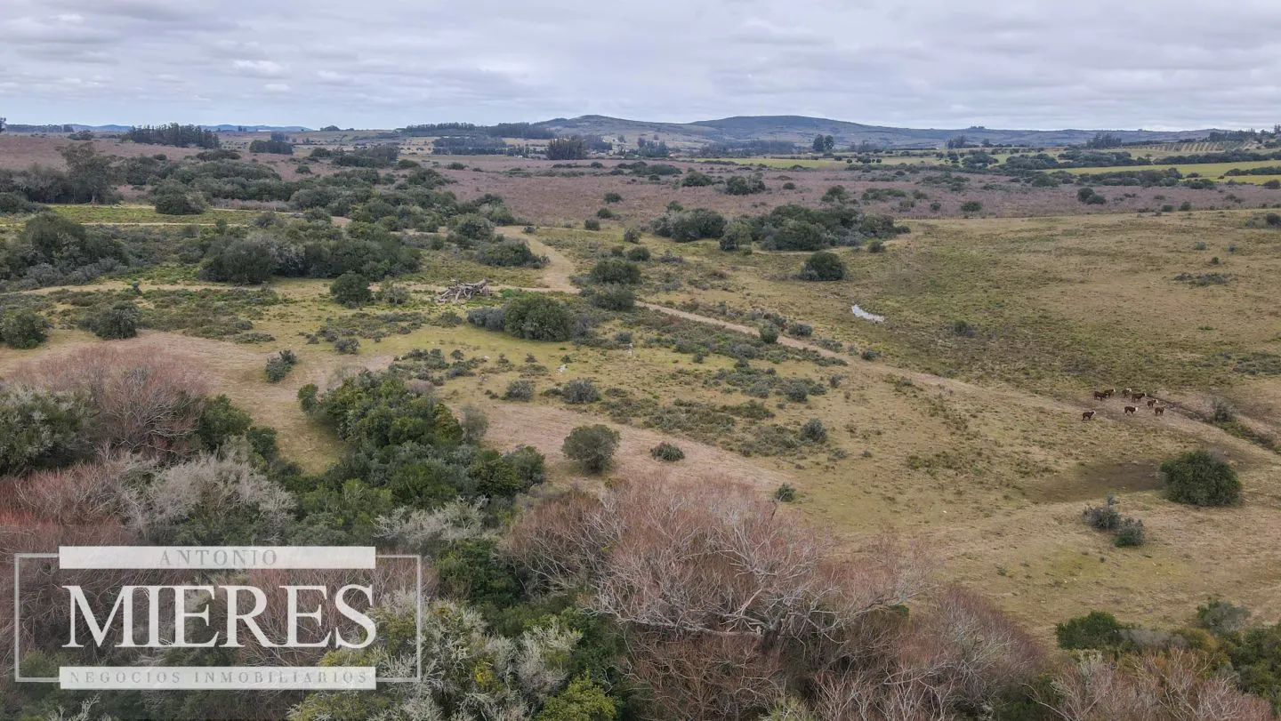 Chacras de 5 y 7 ha en Pueblo eden — foto 22
