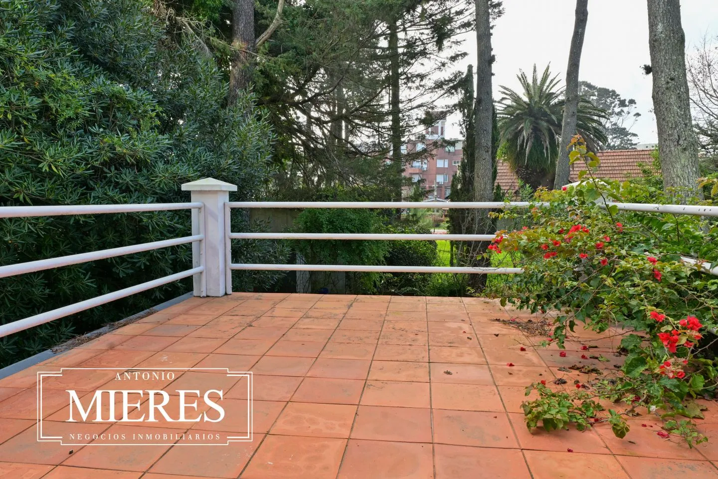Venta de casa de 3 dormitorios - Punta del Este — foto 16