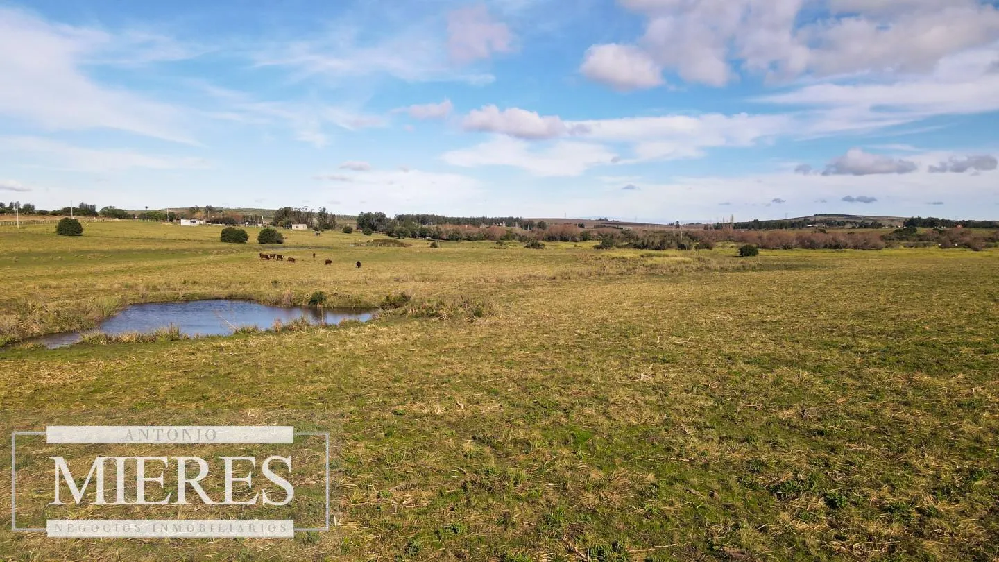 Campo de 114ha en Puntas de José Ignacio — foto 1