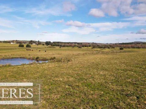 Campo de 114ha en Puntas de José Ignacio