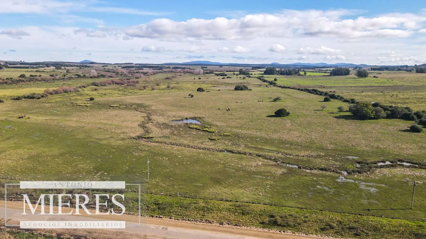 Campo de 114ha en Puntas de José Ignacio — foto 3