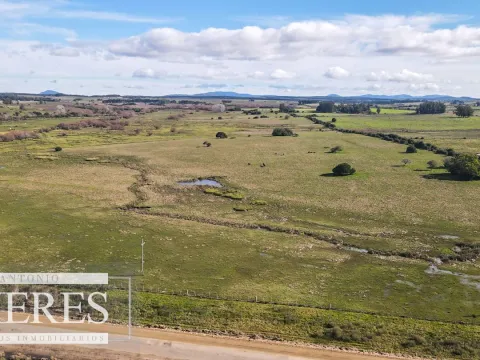 Campo de 114ha en Puntas de José Ignacio — foto 3