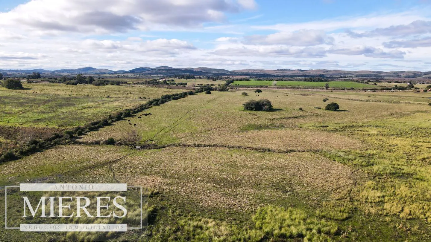 Campo de 114ha en Puntas de José Ignacio — foto 5