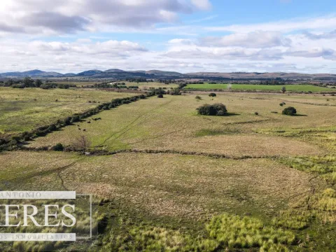 Campo de 114ha en Puntas de José Ignacio — foto 5
