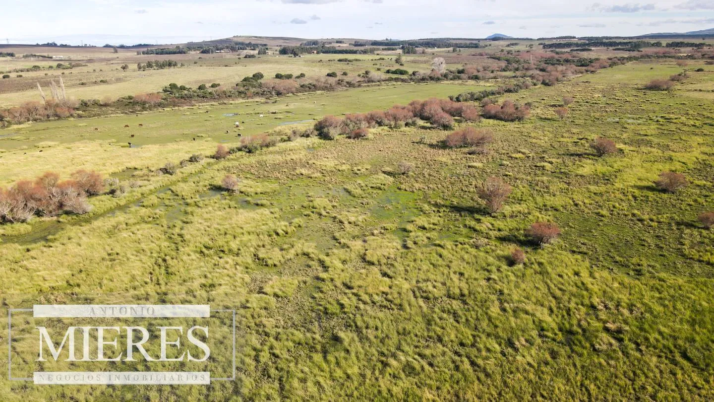 Campo de 114ha en Puntas de José Ignacio — foto 6