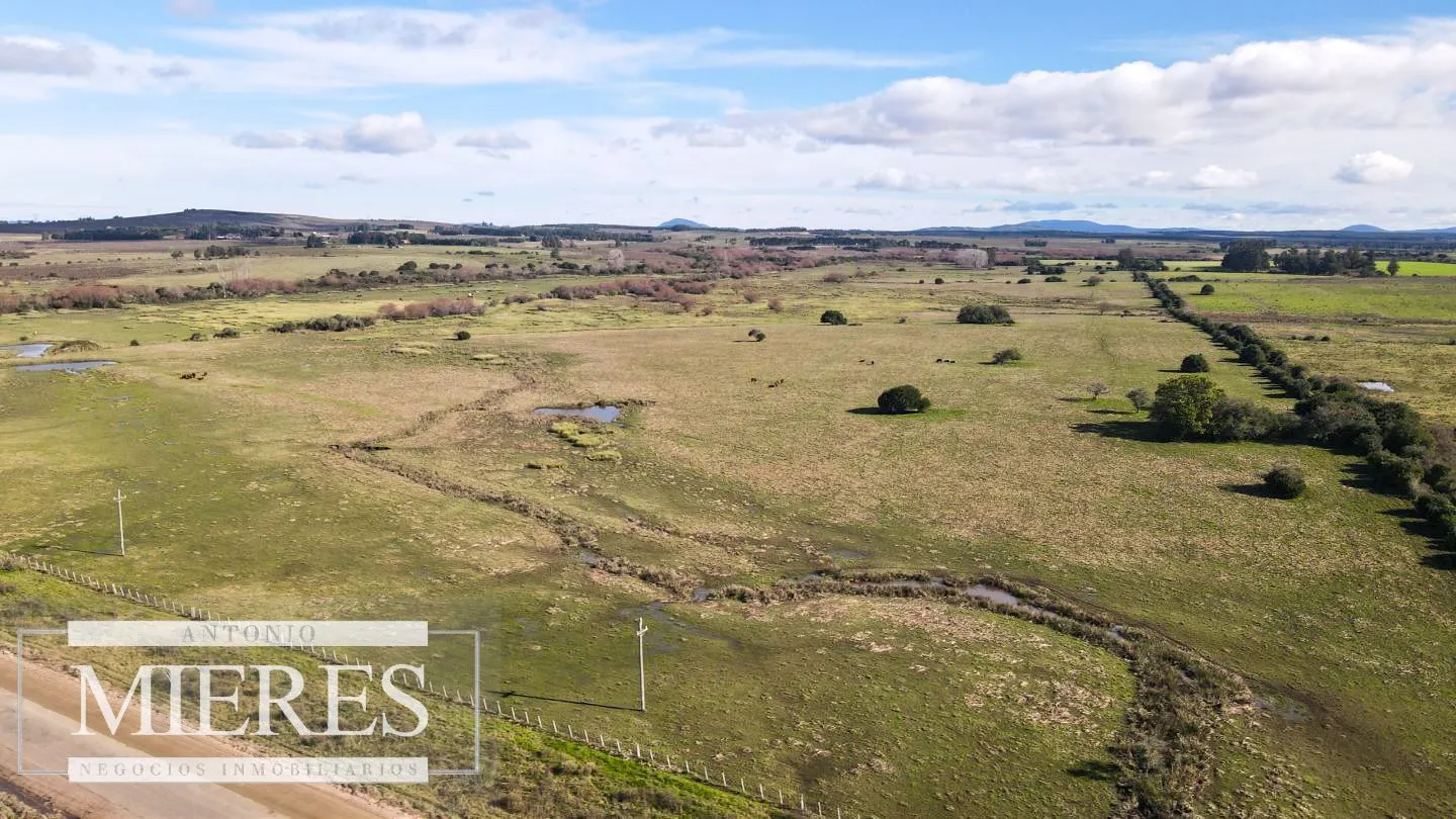 Campo de 114ha en Puntas de José Ignacio — foto 7